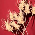 6 pieces of hand made crepe paper wheat